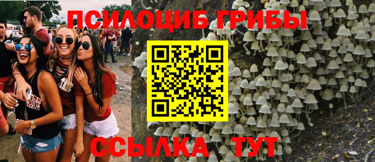Псилоцибиновые грибы Magic Shrooms  Вход с VPN  Луга 